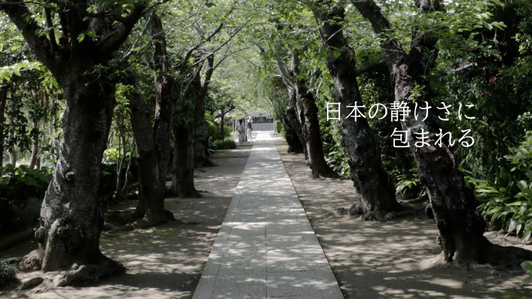 ファーストビュー動画作成サービス